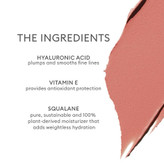 رژگونه براق رزاینک Blush Divine