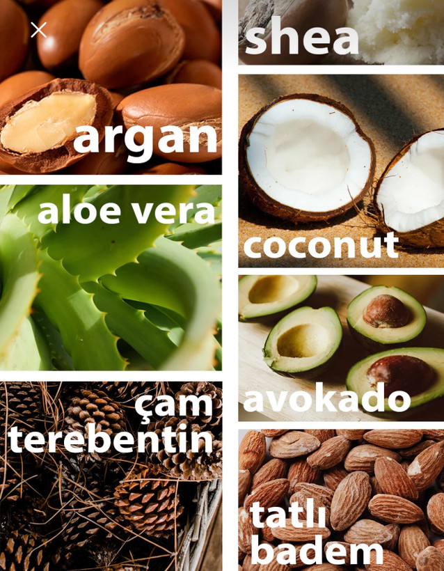 روغن جامد ماسک مو و نرم کننده بدون نیاز به آبکشی بوم باتر با ترکیب ۷ روغن ارگانیک